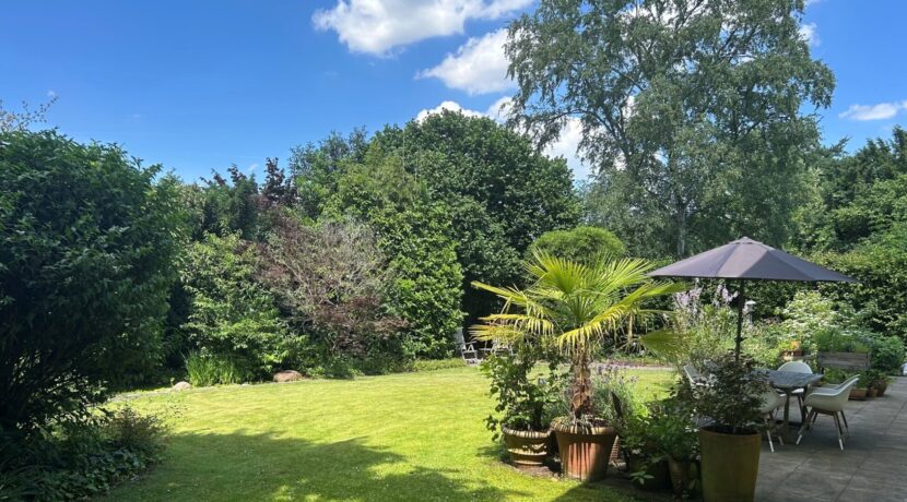 Blick in den Garten
