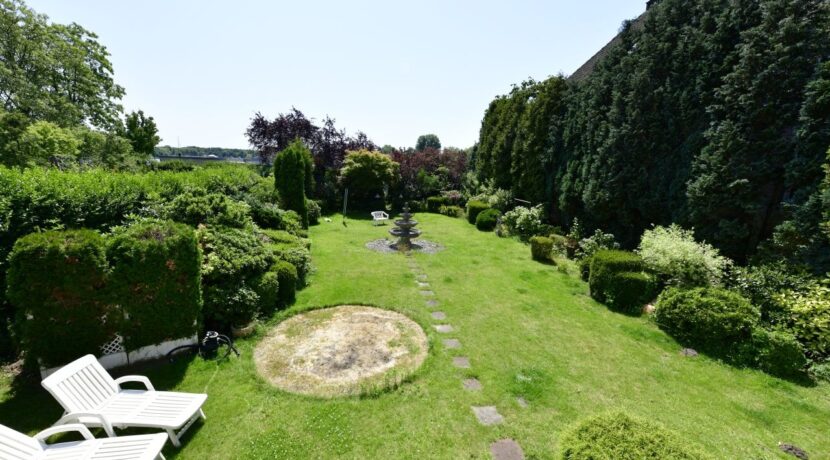 Blick in den Garten