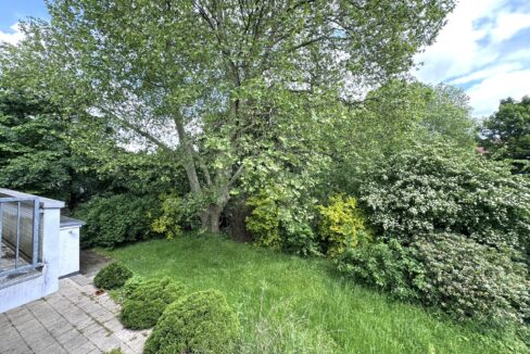 Blick in den Garten
