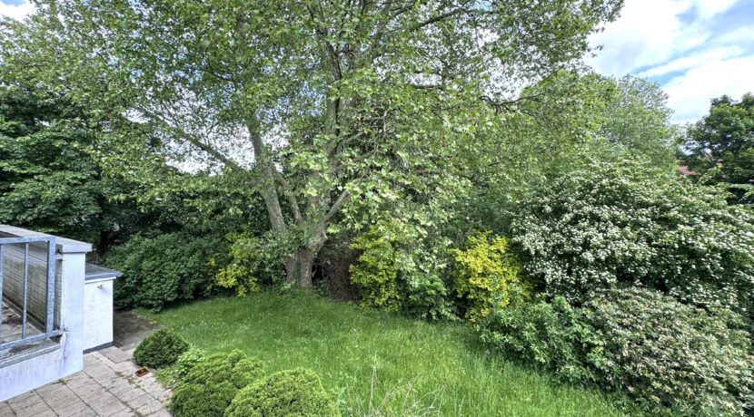 Blick in den Garten