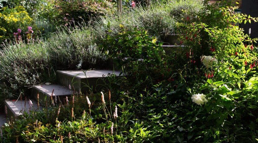 Gartenansicht