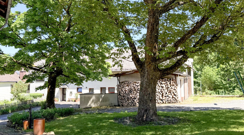 Grünfläche am Haus