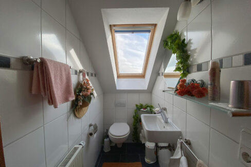 WC DG