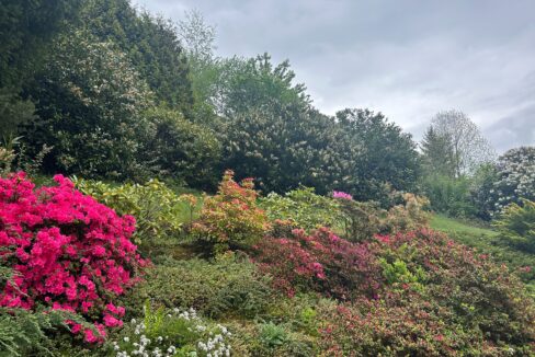 Garten Teilansicht