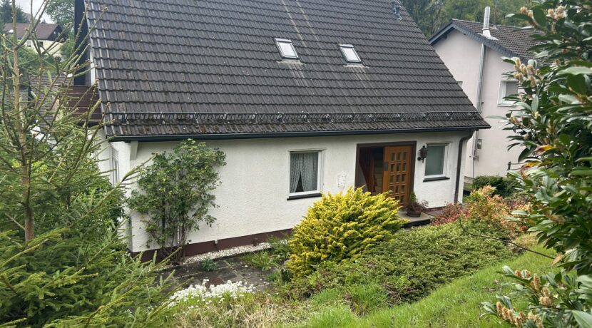 vom Garten auf das Haus geblickt