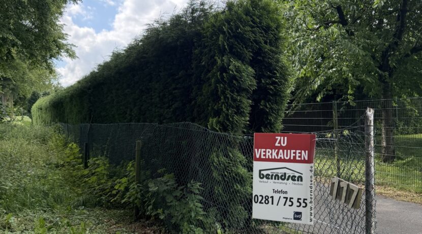 Zufahrt