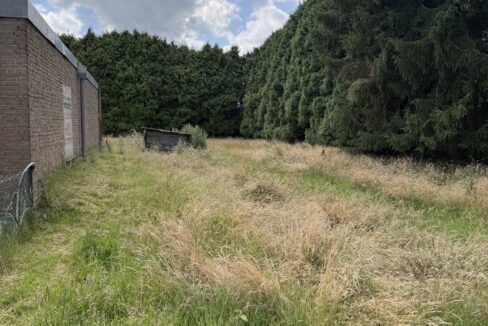Wiesenfläche hinter dem Haus