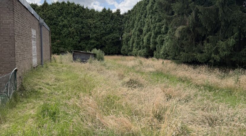 Wiesenfläche hinter dem Haus