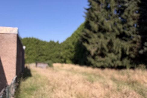 Wiese hinter dem Haus