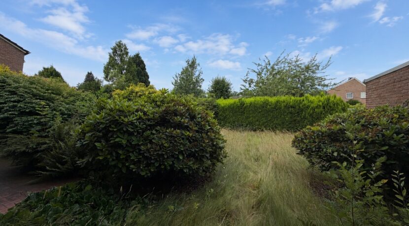 Gartenblick