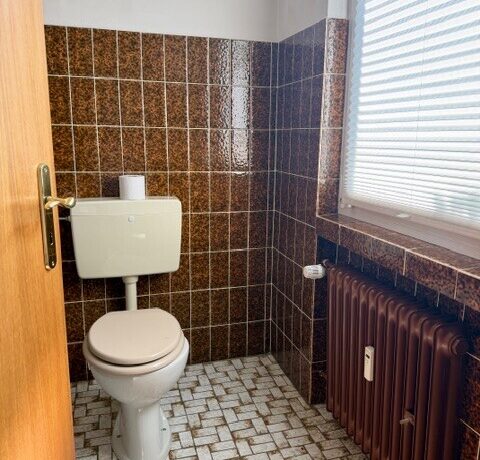 Haushälfte rechts - Gäste-WC mit Fenster