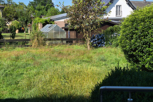 Blick in den Garten