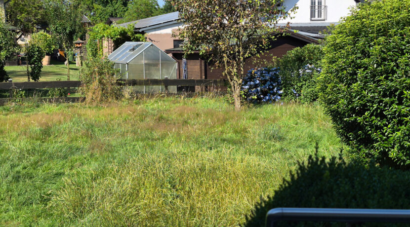 Blick in den Garten