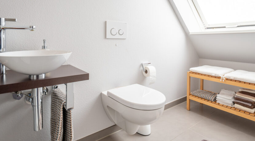 Gäste WC DG