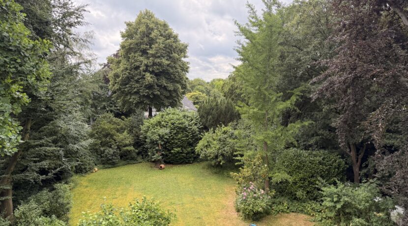 Blick in den parkähnlichen Garten