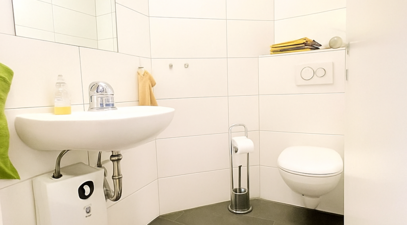 Gäste-Toilette im Erdgeschoss
