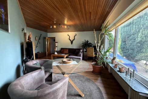 Wohnzimmer EG