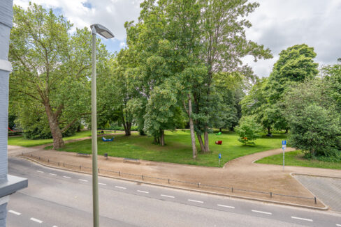 Parkblick