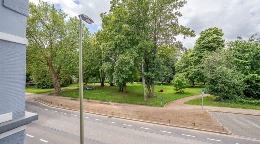 Parkblick