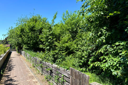 Gartengrundstück