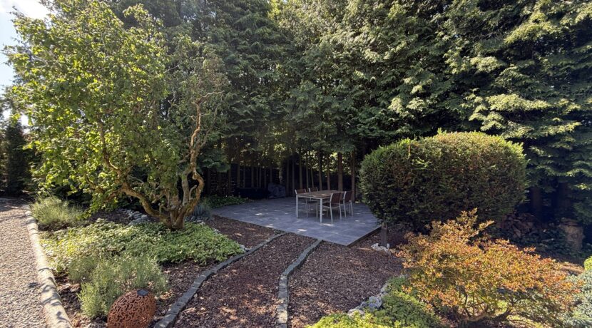 Terrasse/Garten