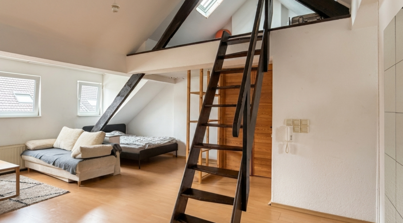 Wohn- Schlafzimmer