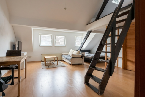 Wohn- Schlafzimmer