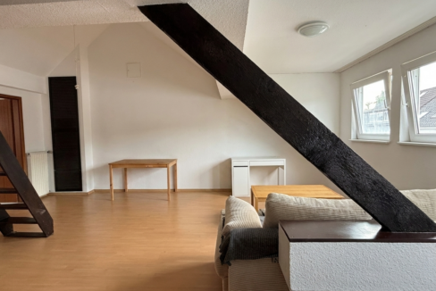Wohn- Schlafzimmer
