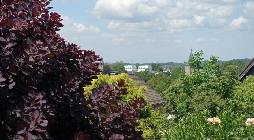 Fernsicht