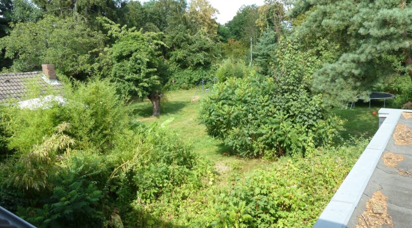 Gartenansicht vom 1. OG