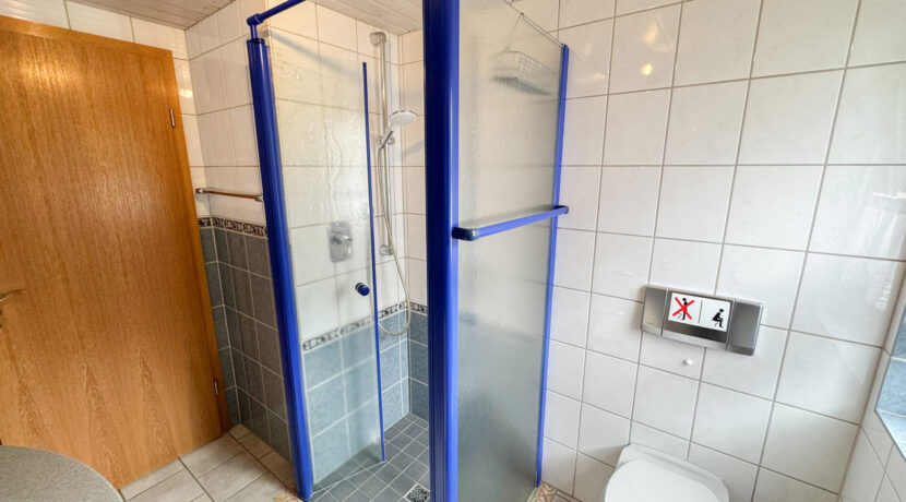 Tageslichtbad mit Dusche und WC EG