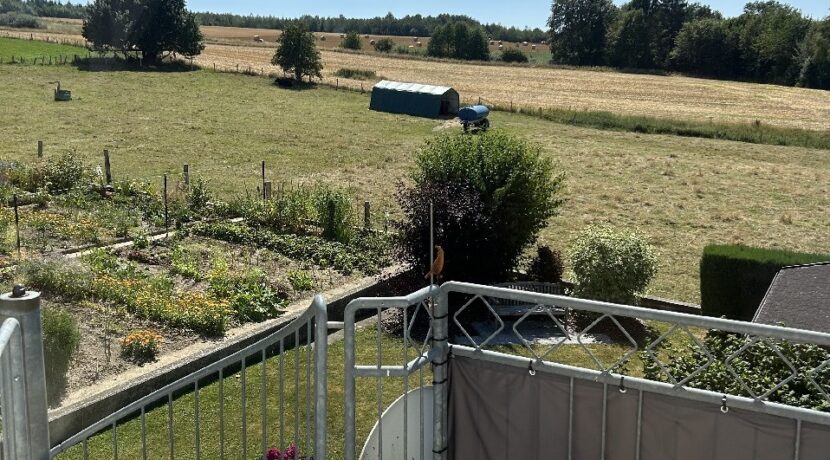 Terrasse und Abgang Garten DG