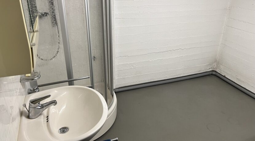 Hauswirtschaftsraum mit Dusche