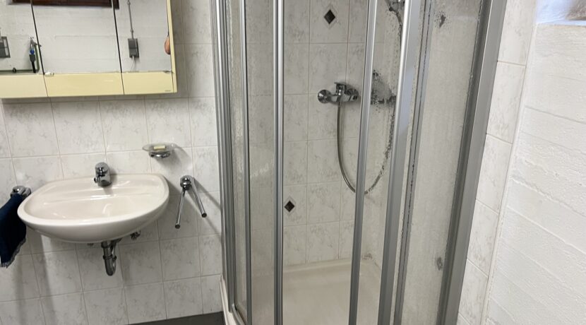 Hauswirtschaftsraum mit Dusche