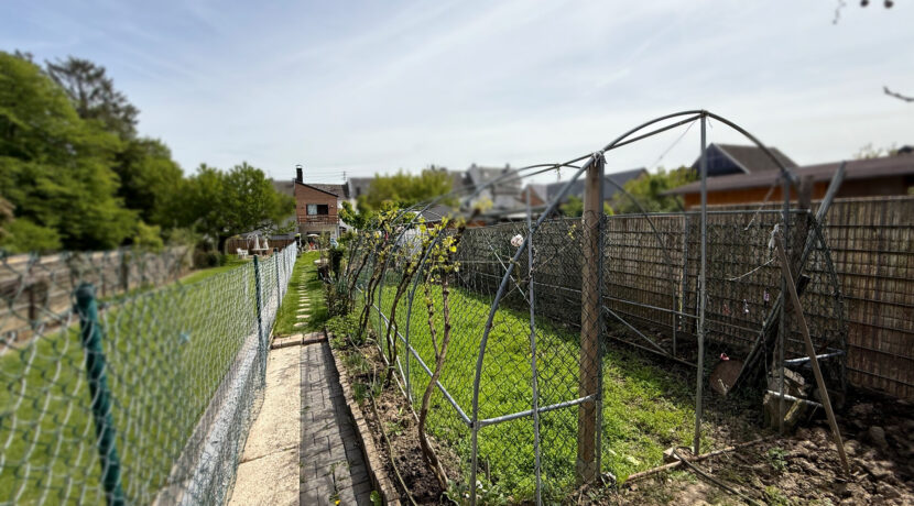 Garten 2