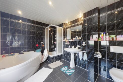 Badezimmer_Hinterhaus
