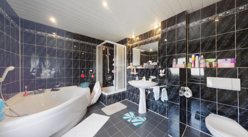 Badezimmer_Hinterhaus