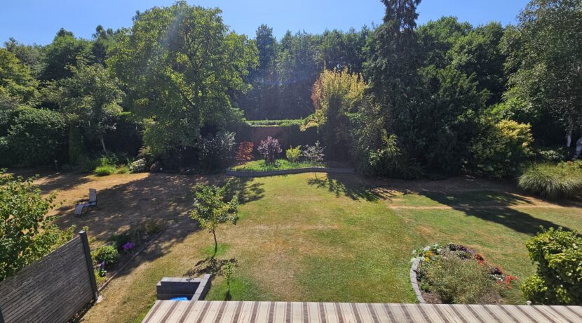 Blick in den Garten