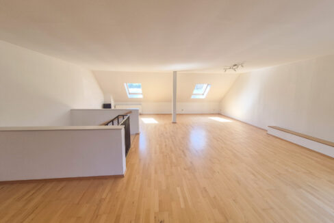 Studio (DG)