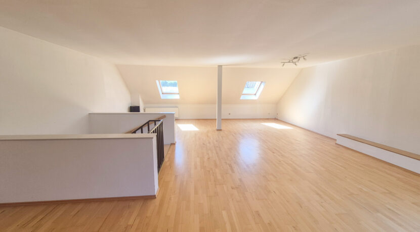Studio (DG)