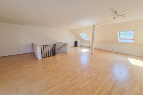 Studio (DG)