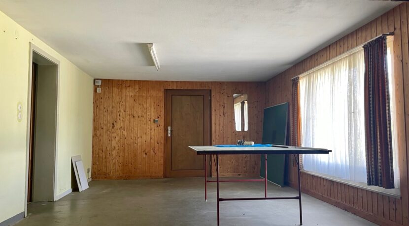 Hobbyraum/Partykeller mit Zugang zum Carport (UG)