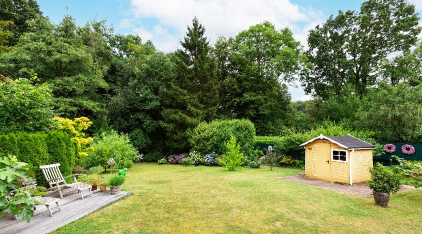 Blick in den Garten