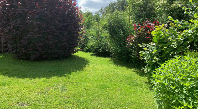 Traumgarten