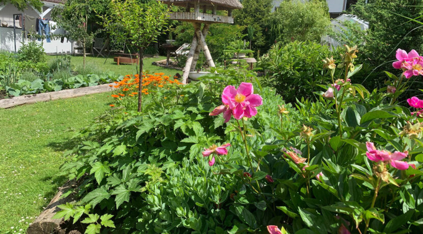 Traumgarten