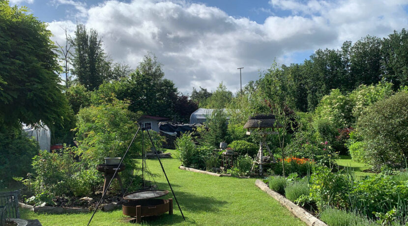 Blick in den Garten