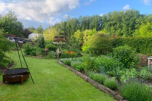 Blick in den Garten