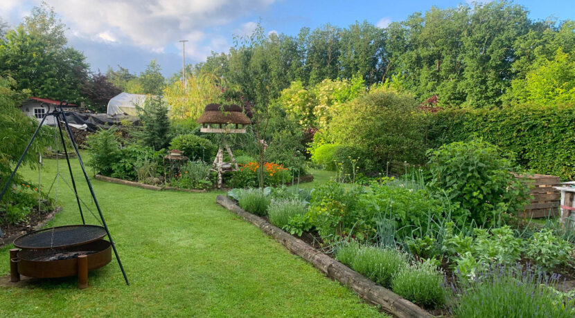 Blick in den Garten