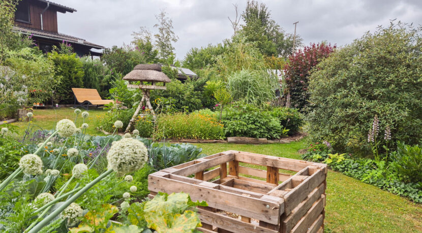 Blick in den Garten