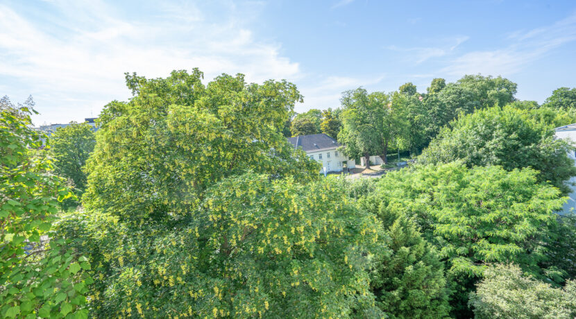 Ausblick